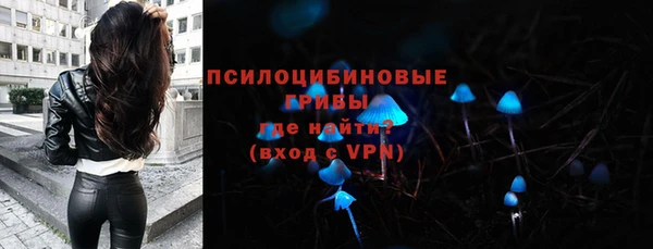 мдма Медвежьегорск