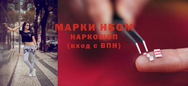 стафф Медногорск