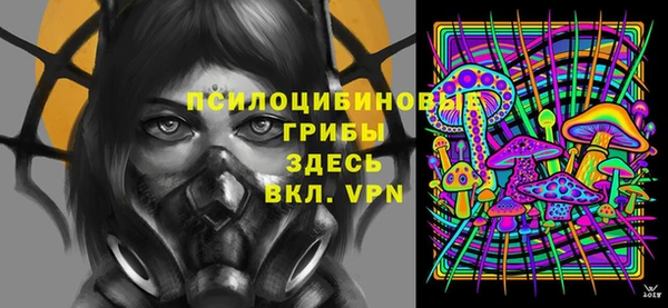 мдма Медвежьегорск