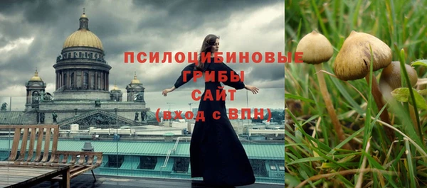 мдма Медвежьегорск