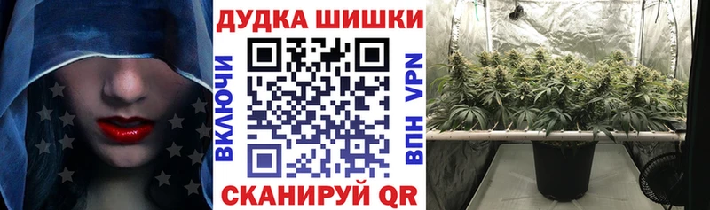 Шишки марихуана ГИДРОПОН  Купить закладки  Михайлов 